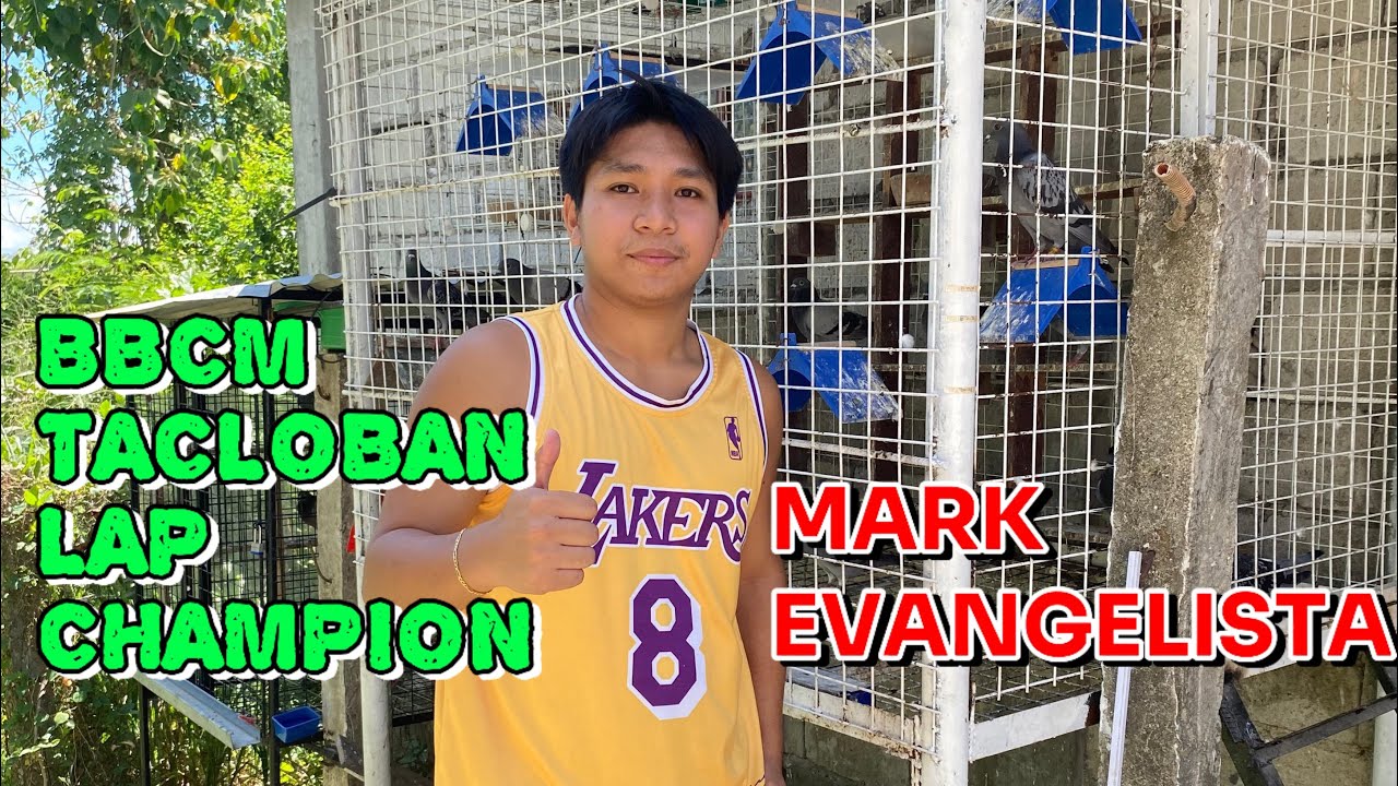 BBCM TACLOBAN LAP CHAMPION DAY BIRD!  “MARK EVANGELISTA”