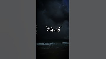 #القارئ عبدالرحمن مسعد