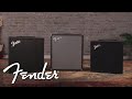 3 Bass Amps. 3 Price Points. Which One is Right For You? | Fender