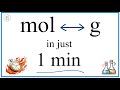 Molar Mass and Conversion Concepts