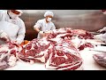 (HACCP ver) HOW TO BUTCHER AN ENTIRE COW - The process by which beef is made / 소발골,발골교육,신부축산