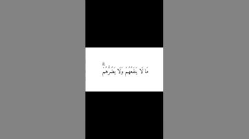 وهو الذي خلق من الماء بشرا ● ادريس ابكر ● سورة الفرقان● كرومات قران