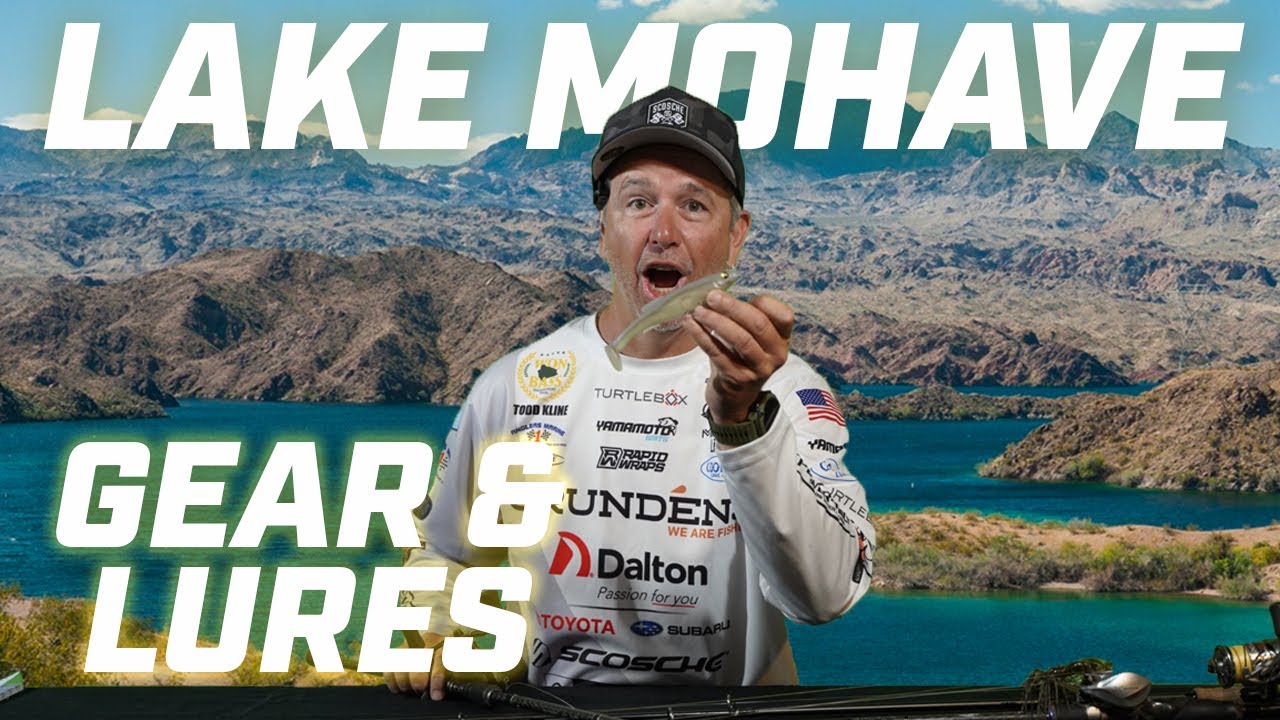WON BASS: Gear & Lure Choices for Fishing Lake Mead with Todd Kline