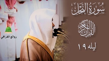 تلاوة من سورة النحل للشيخ د. #عبدالله_القرافي ليله 1445/9/19 المسجد النبوي
