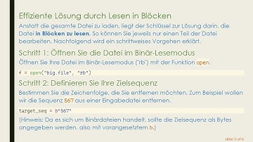 So entfernen Sie lange Zeichenfolgen aus großen Binärdateien in Python