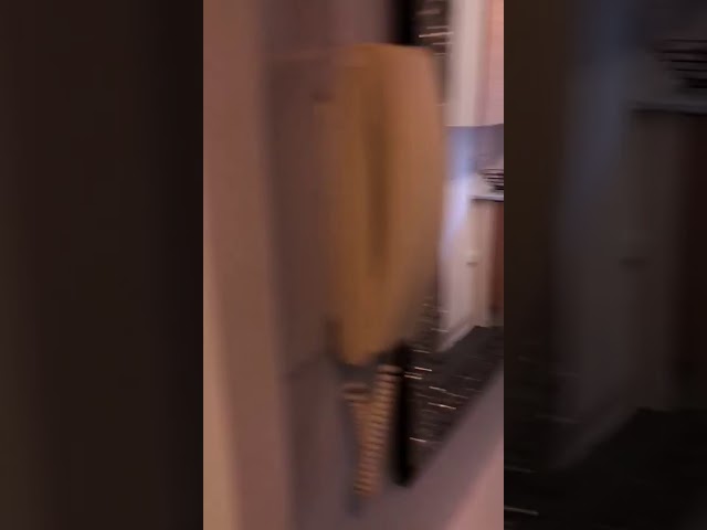 Video 1: Reception