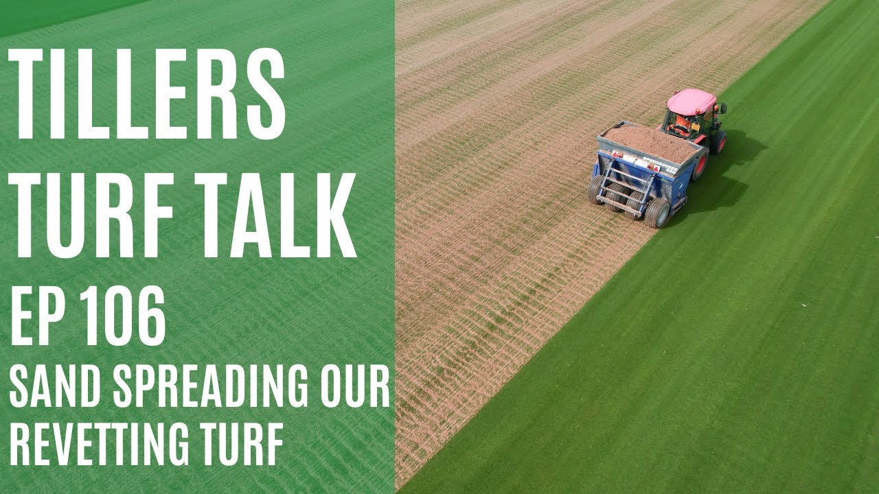 Tillers Turf Talk Ep 106 Sand Spreading our Revetting Turf YouTube