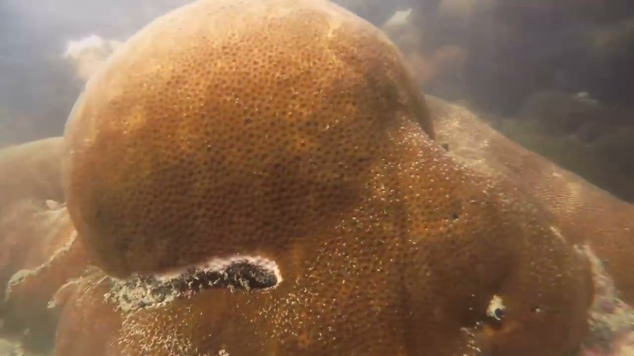 Recifes de arenito de Náutico(Beachrock), Fortaleza - Brasil