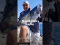 #shorejigging #fishing #fish #carpfishing #lurefishing #jigging #fishingtips
