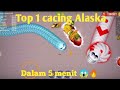 Top global 1 Cacing Alaska dalam 5 menit 😱🔥