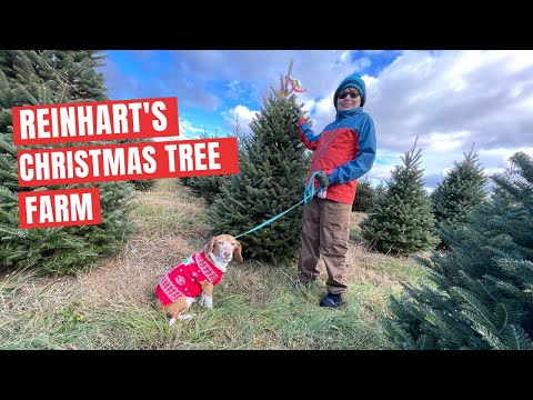 Reinhart's Christmas Tree