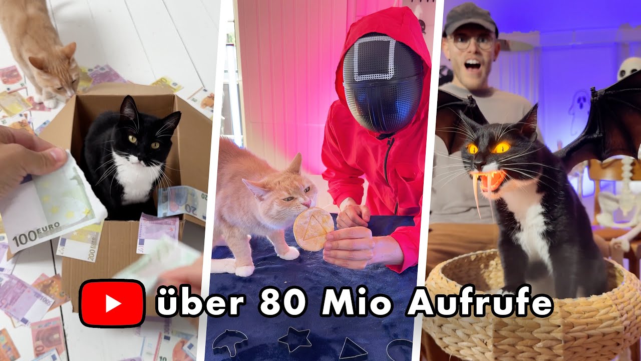 Best of 2025 – Die LUSTIGSTEN Clips der CAT BROS