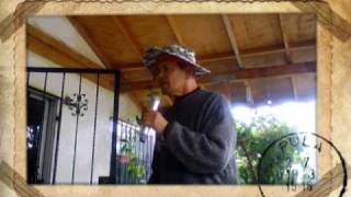 Summer 69 20091206 22