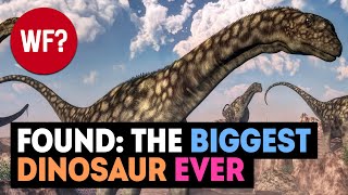 Largest Dinosaur Ever Discovered Bigger Than Patagotitan Majorum