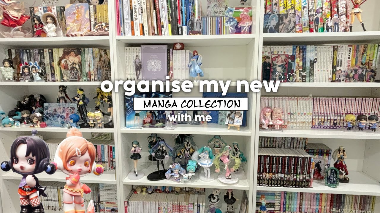 organise my 650+ manga collection (creating my own personal library) 𐙚