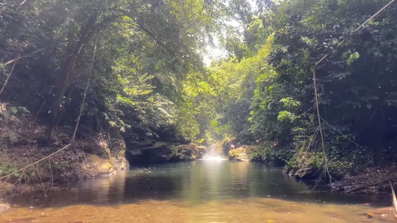 Deepest part of Caura River part#2 - YouTube