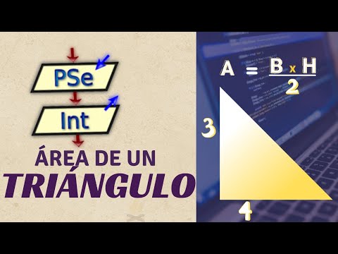 Pseint desde cero