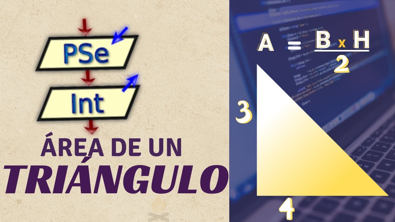 Pseint Desde Cero 2022 Ejercicios Calcular El Area De Un Triangulo