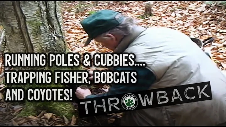 RUNNING POLES & CUBBIES....TRAPPING FISHER, BOBCATS AND COYOTES!