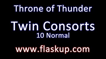 Raiding Guide: Twin Consorts // 10 Man Normal Mode