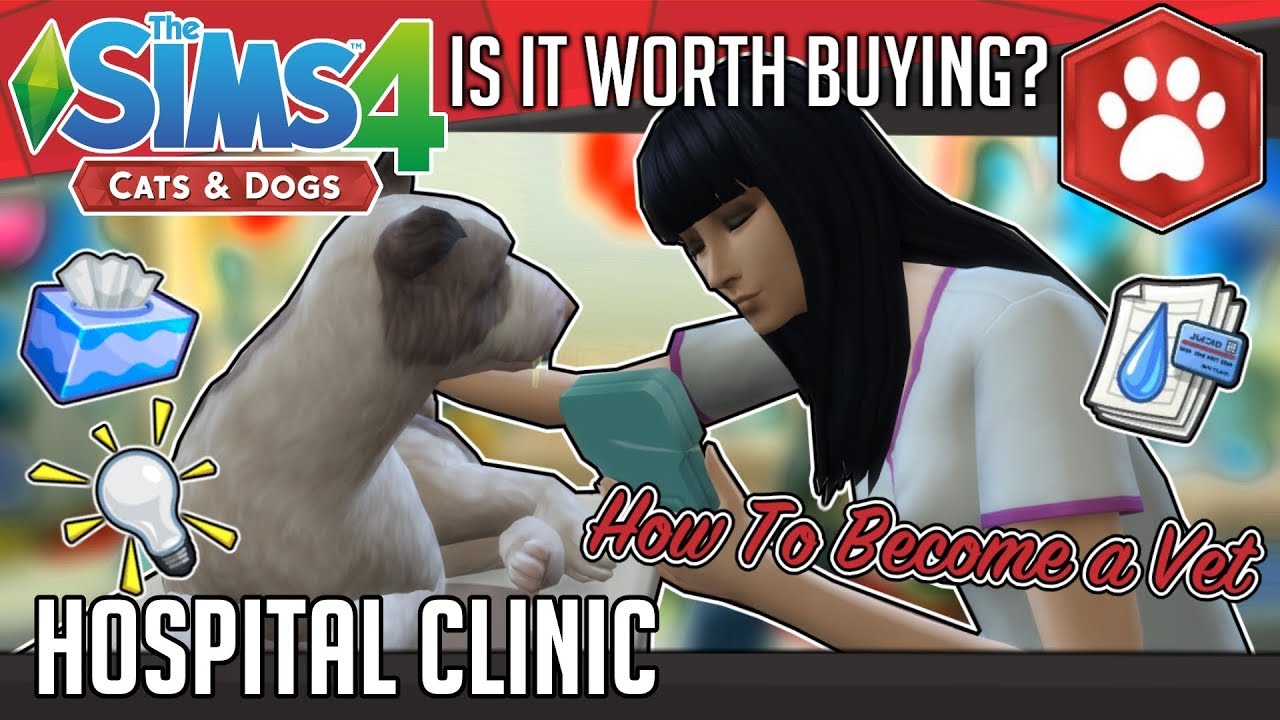 Is It Worth Buying The Sims 4 Cats and Dogs Expansion Veterinary