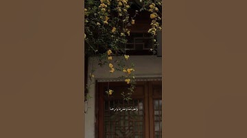 حالات واتس اب قران ♥️🖇️|| حالات واتس قرأن || تلاوة خاشعة || Quran Status🖇️💙 اية قرانية قصيره🎧❤️