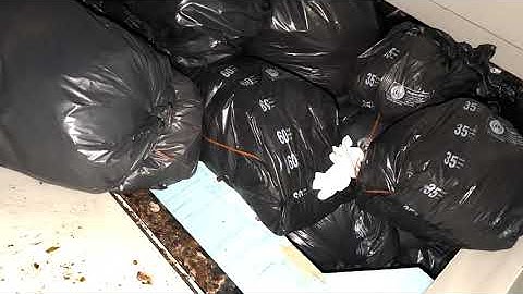 Prepare Compactor with the many black bags (4K)