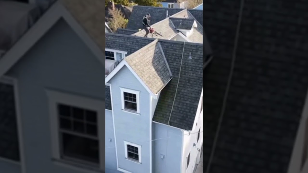 Soft Wash Roof Cleaning | Moss Removal & Full Roof Restoration!