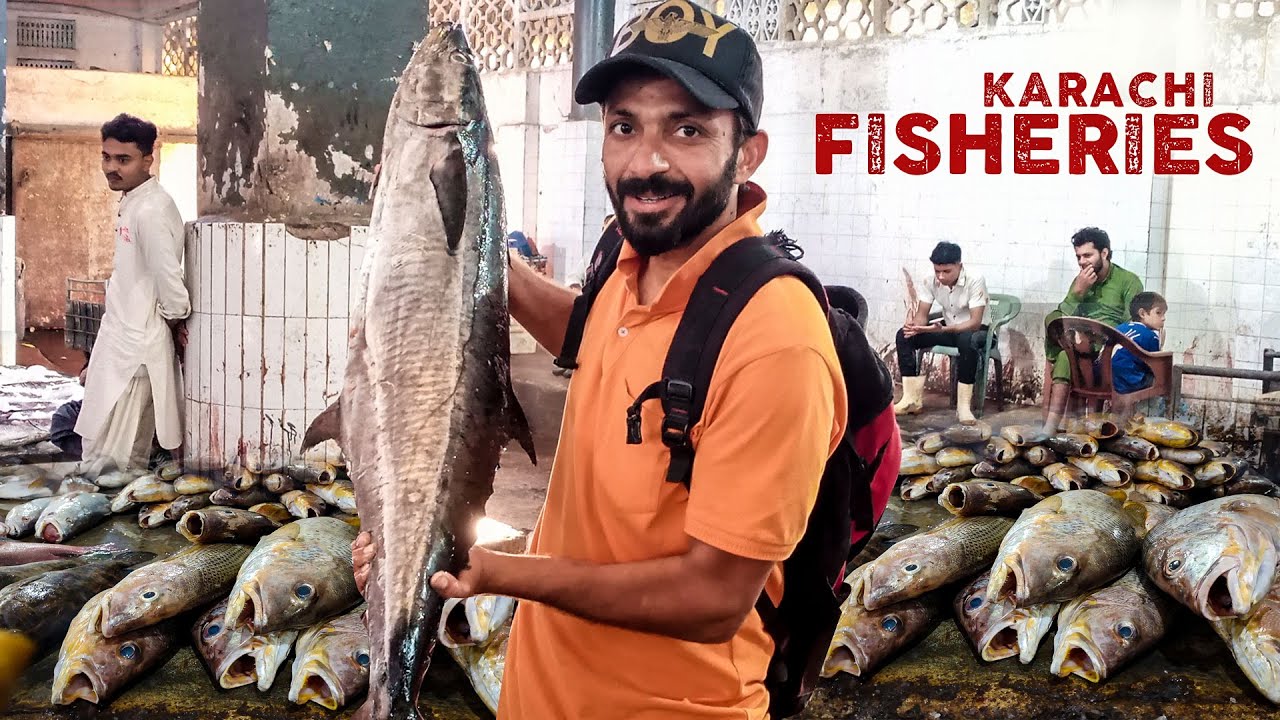 Karachi Fishries Best Places to Buy Fish in Karachi Karachi Street