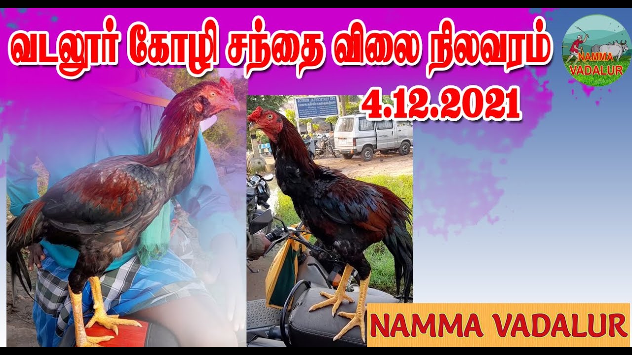 வடலூர் கோழி சந்தை விலை நிலவரம்4.12.2021