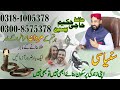 Hakeem yaseen conversation with  media  brain kidney and stomach  solutions  treatment  yaseem