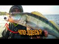 Джиг / Ловля судака / Рыбалка 2020 / Спиннинг для джига / Судак
