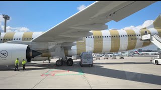Condor newest Business Class Airbus A330neo Frankfurt to Seattle