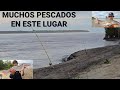 Tremenda pesca volvi al pozo del arenalun lugar lleno de pescadossacamos de todonico reynoso