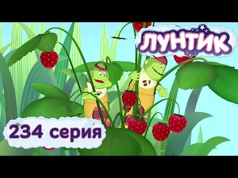 Лунтик и его друзья - 234 серия. Ягодка