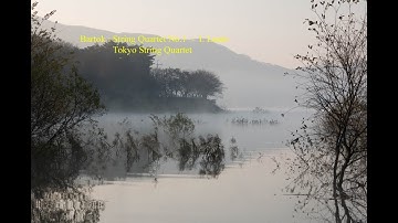 Bartok : String Quartet No.1  -  I. Lento