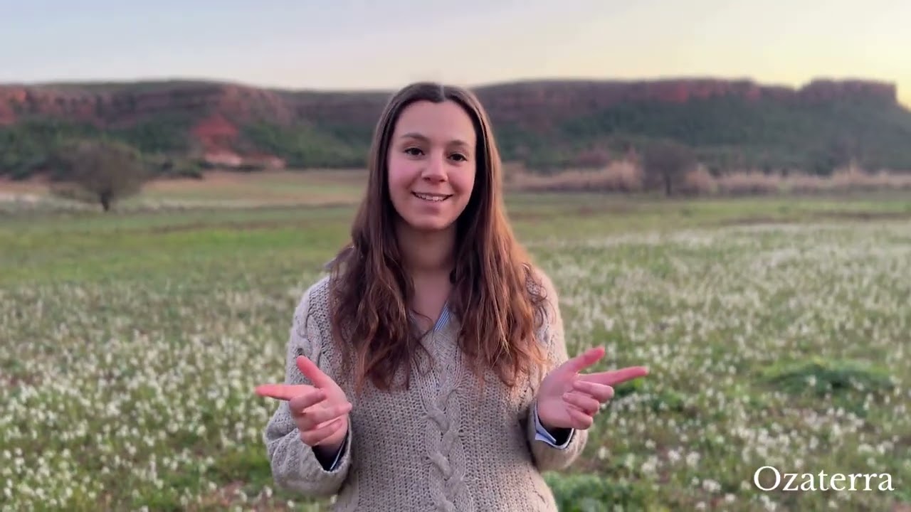 Sihem Teboul - Ozaterra