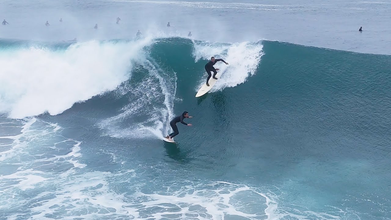 WAVES of the WEEK SAN DIEGO
