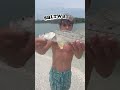 What side are you on??🦈🦈🐟🐟
