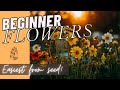 Favorite Flowers for Beginners: Growing Flowers from Seed Cut Flower Garden 🌼🌿🌸