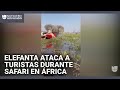 Turistas viven momentos de pánico en un safari: elefanta los atacó mientras navegaban en canoas