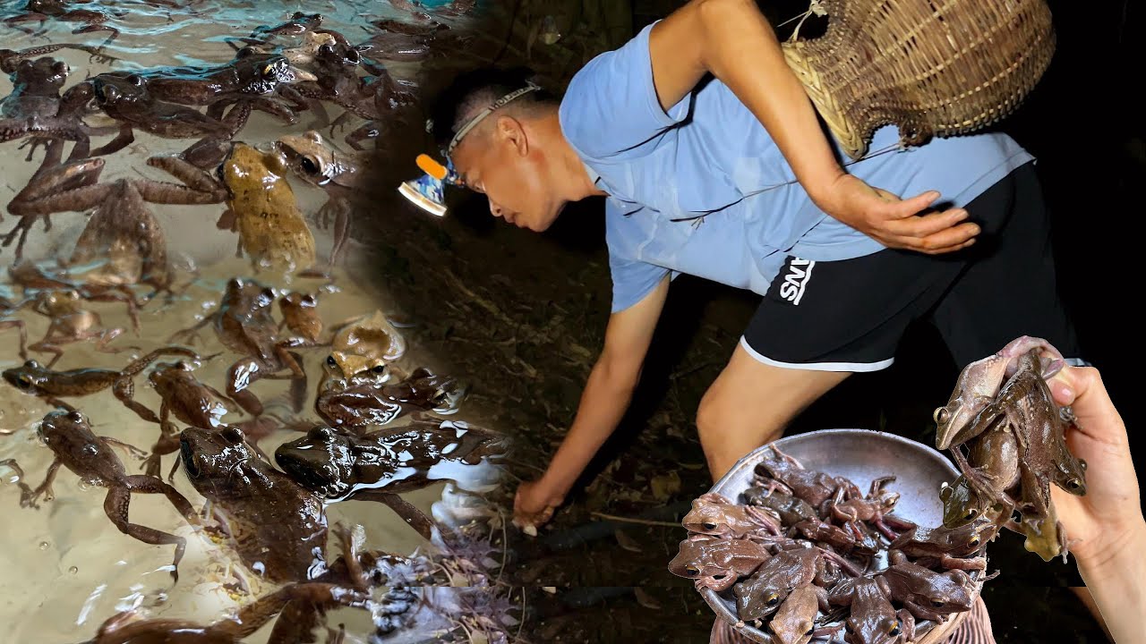 SOI ĐÊM TÌM BẮT EM CHÂN DÀI ( Nhái Bén ) - Bùi Văn Trọng