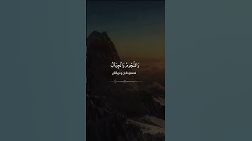 رعد الكردي ؛ سورة الحج