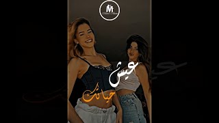 محمود التركي  عيش حياتك - مع الكلمات