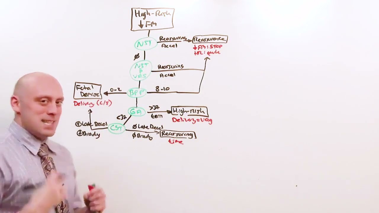 13. Antenatal Testing I Obstetrics