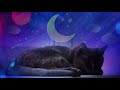 CAT MUSIC - 🐱💤 RELAXING MUSIC FOR CAT AND KITTEN (WITH CAT PURRING SOUND) 2 HOURS 4K