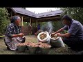 Rcolte des noisettes et fabrication du beurre de noisette