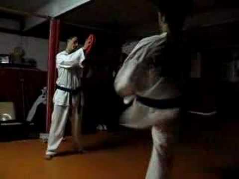 taekwondo basic training