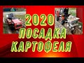 Мтз 132Н Посадка картофеля 2020