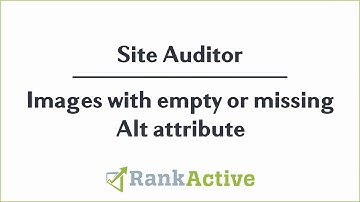 How to find empty or missing images ALT tags on your website.